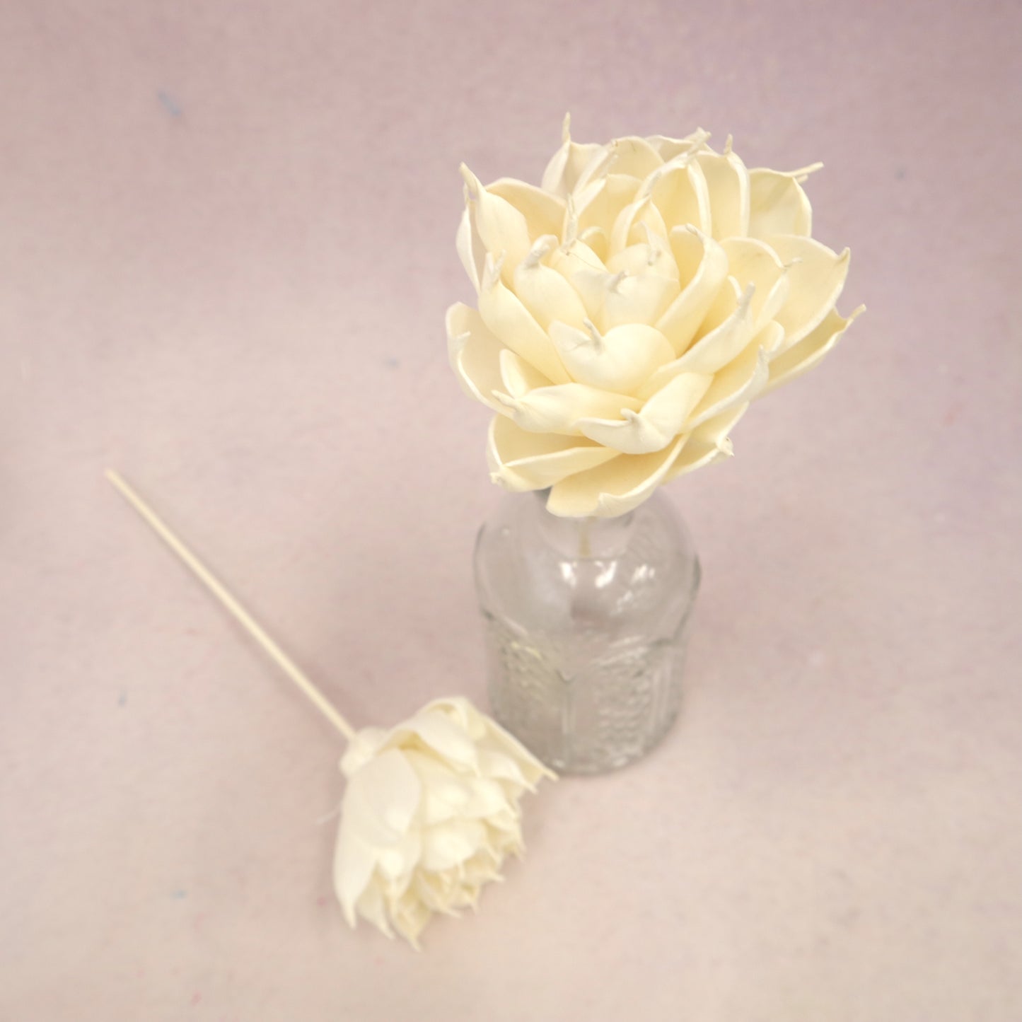 Sola Flower Dahlia White