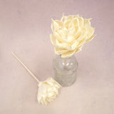 Sola Flower Dahlia White