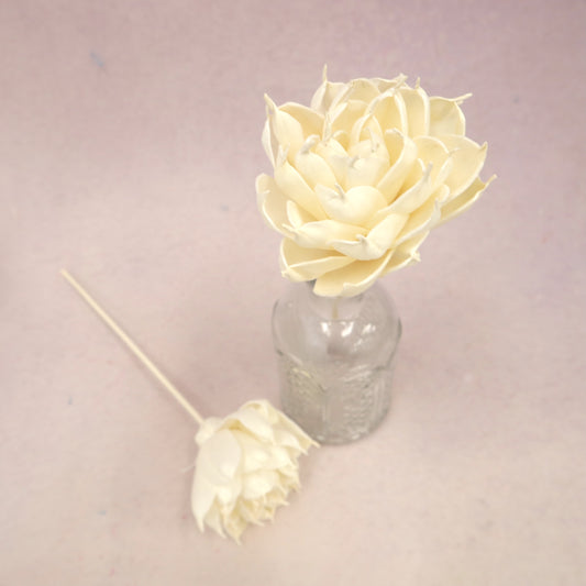 Sola Flower Dahlia White