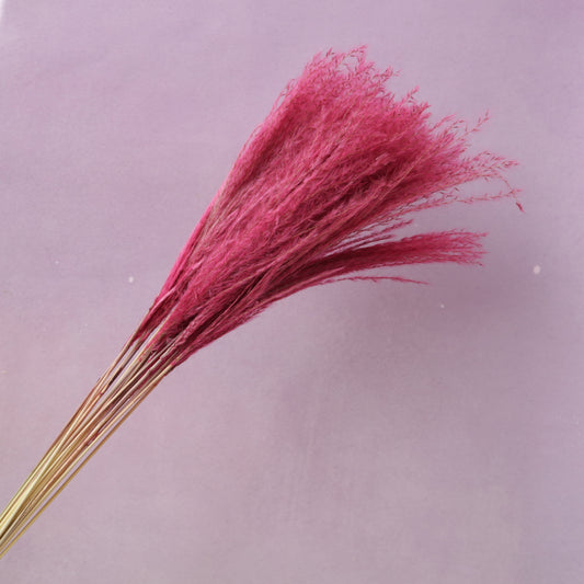 Soft Horsetail Magenta