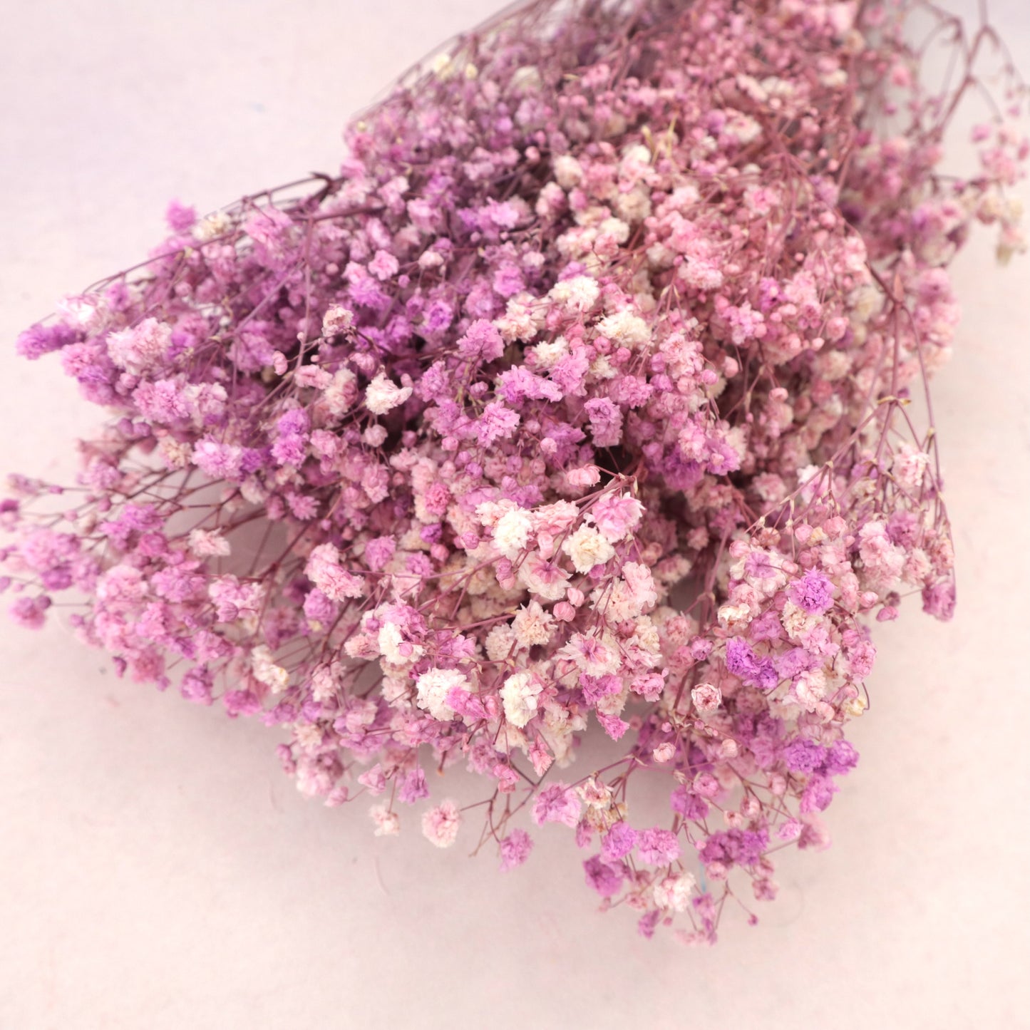 Baby's Breath Mauve