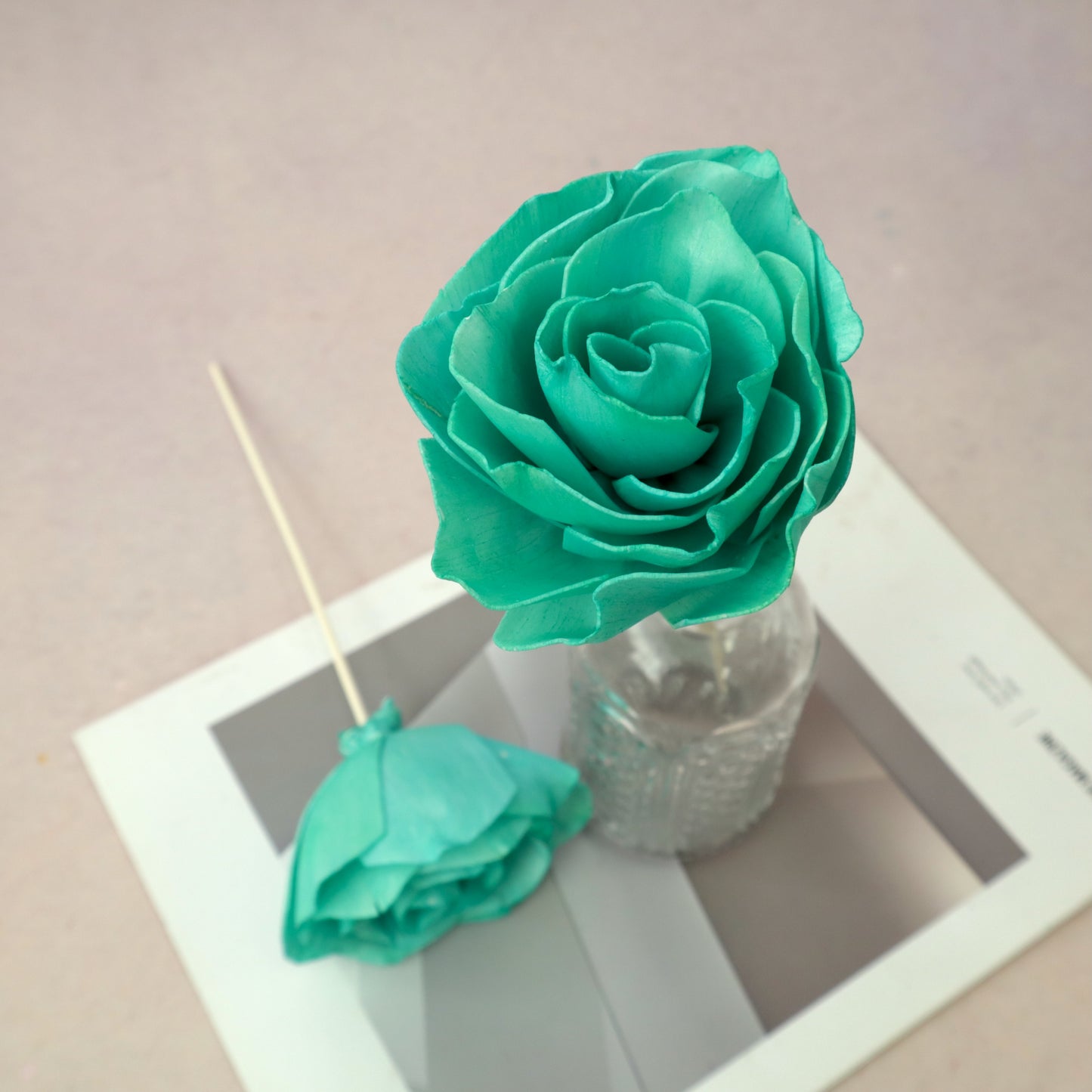 Rosa Chinensis Green