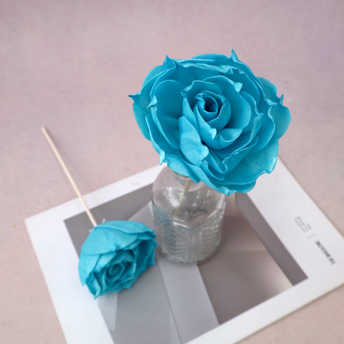 Rosa Chinensis Sky Blue – Floral Forest Wholesale