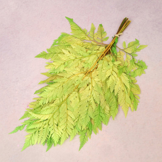 Leather Fern Small Lime (Clearance)