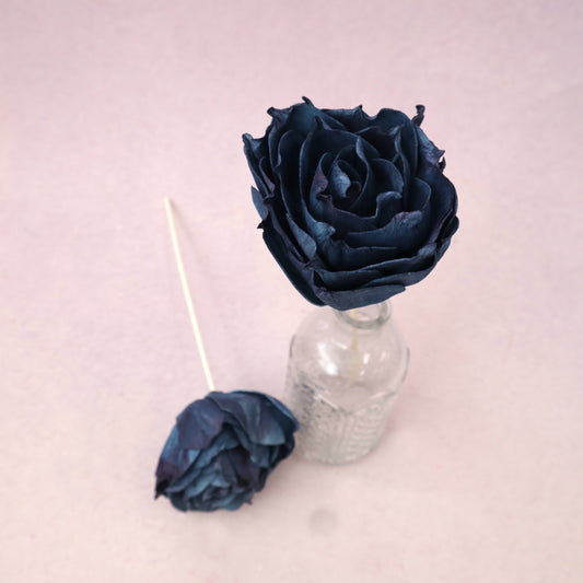 Rosa Chinensis Navy