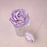Rosa Chinensis Purple