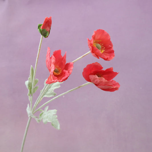 Artificial Real Touch Poppy Red