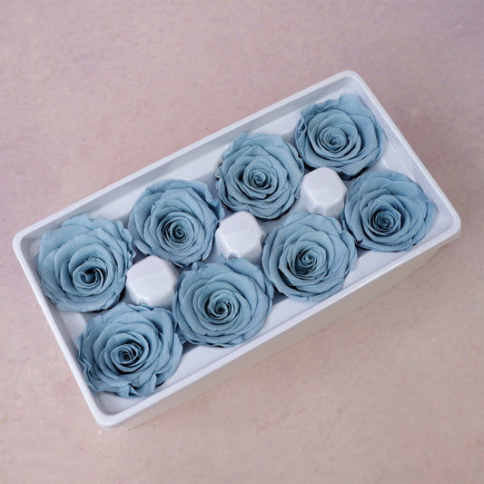 Rose Dusty Blue 8 heads