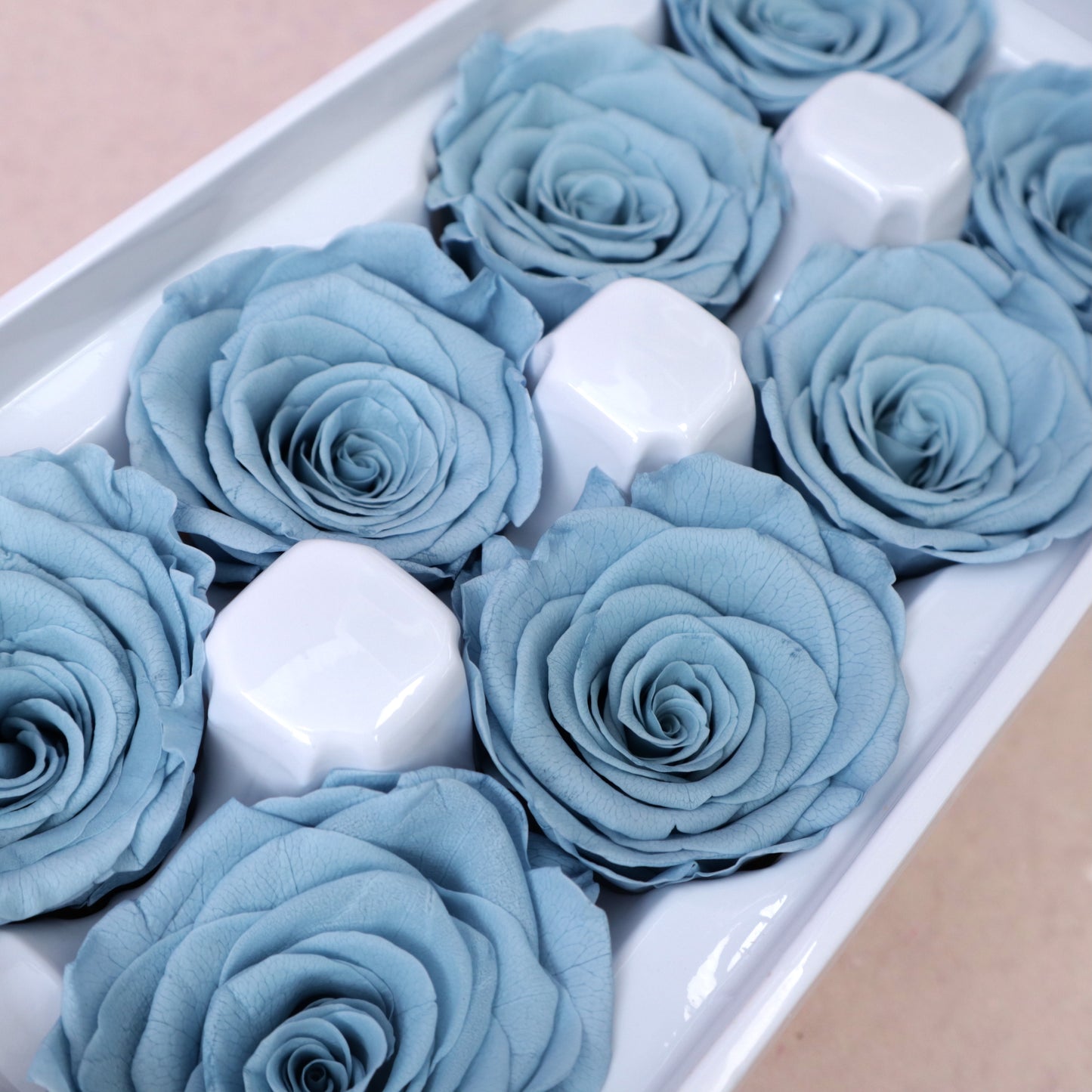 Rose Dusty Blue 8 heads