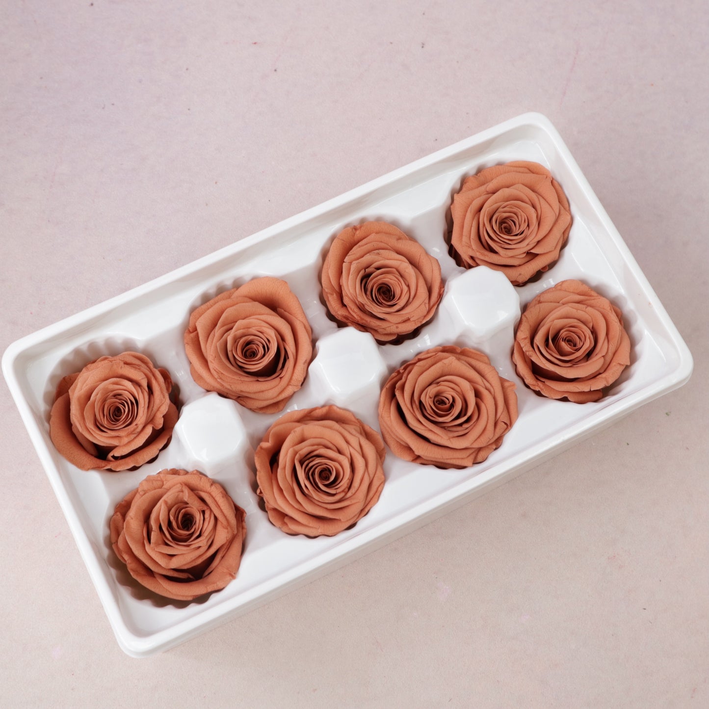 Rose Caramel 8 heads