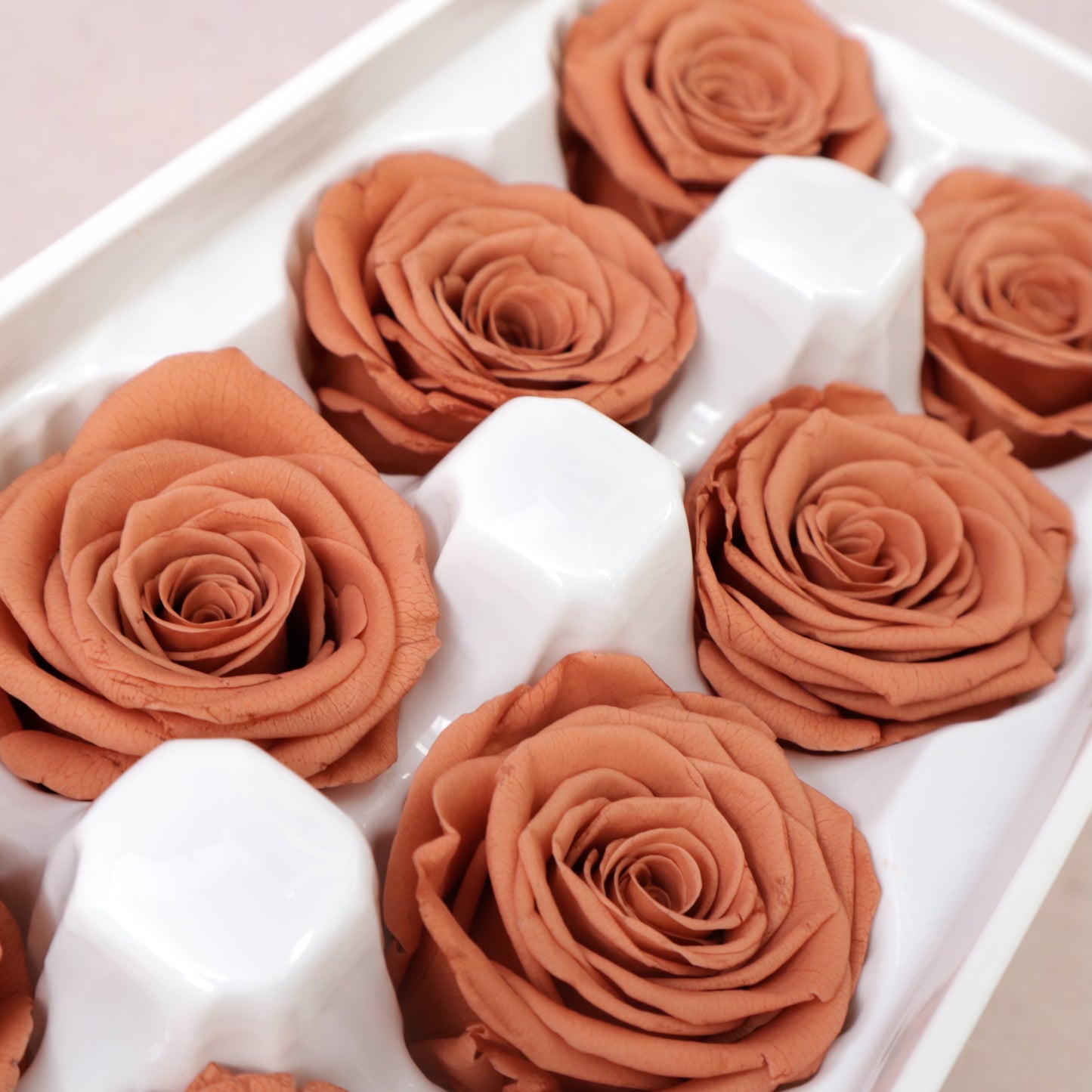 Rose Caramel 8 heads