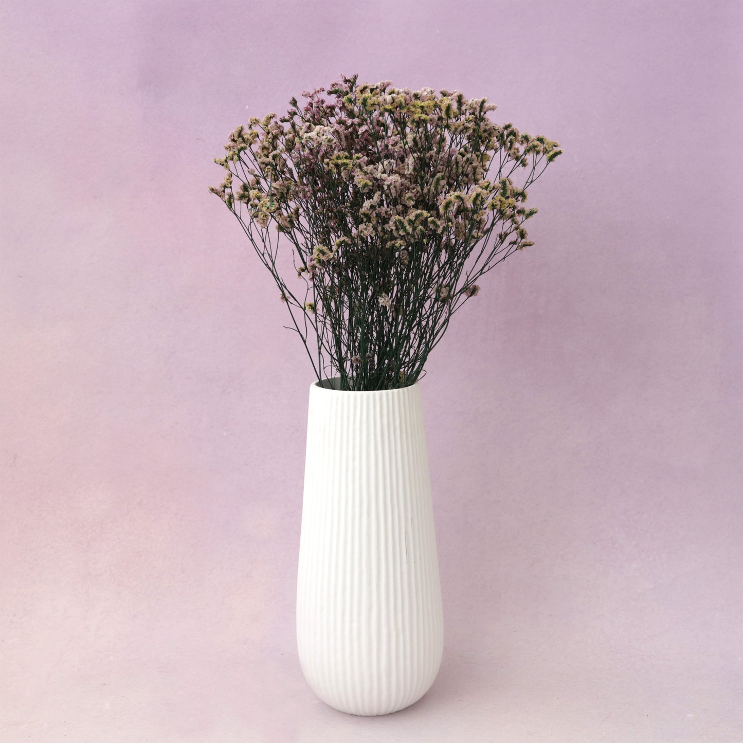 Statice Limonium Sinuatum Natural