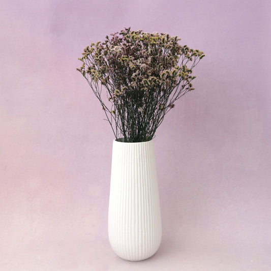 Statice Limonium Sinuatum Natural