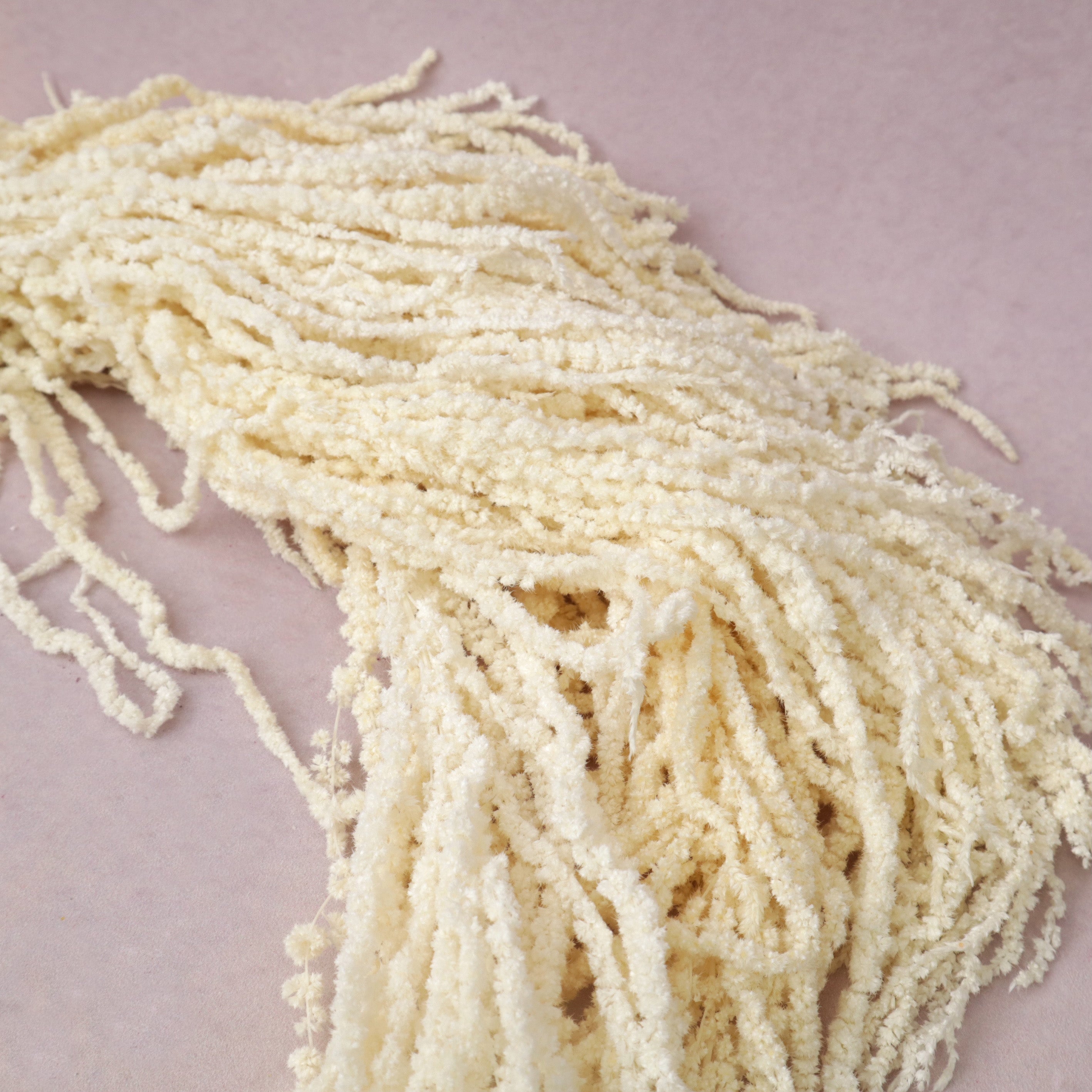 Amaranthus Cream