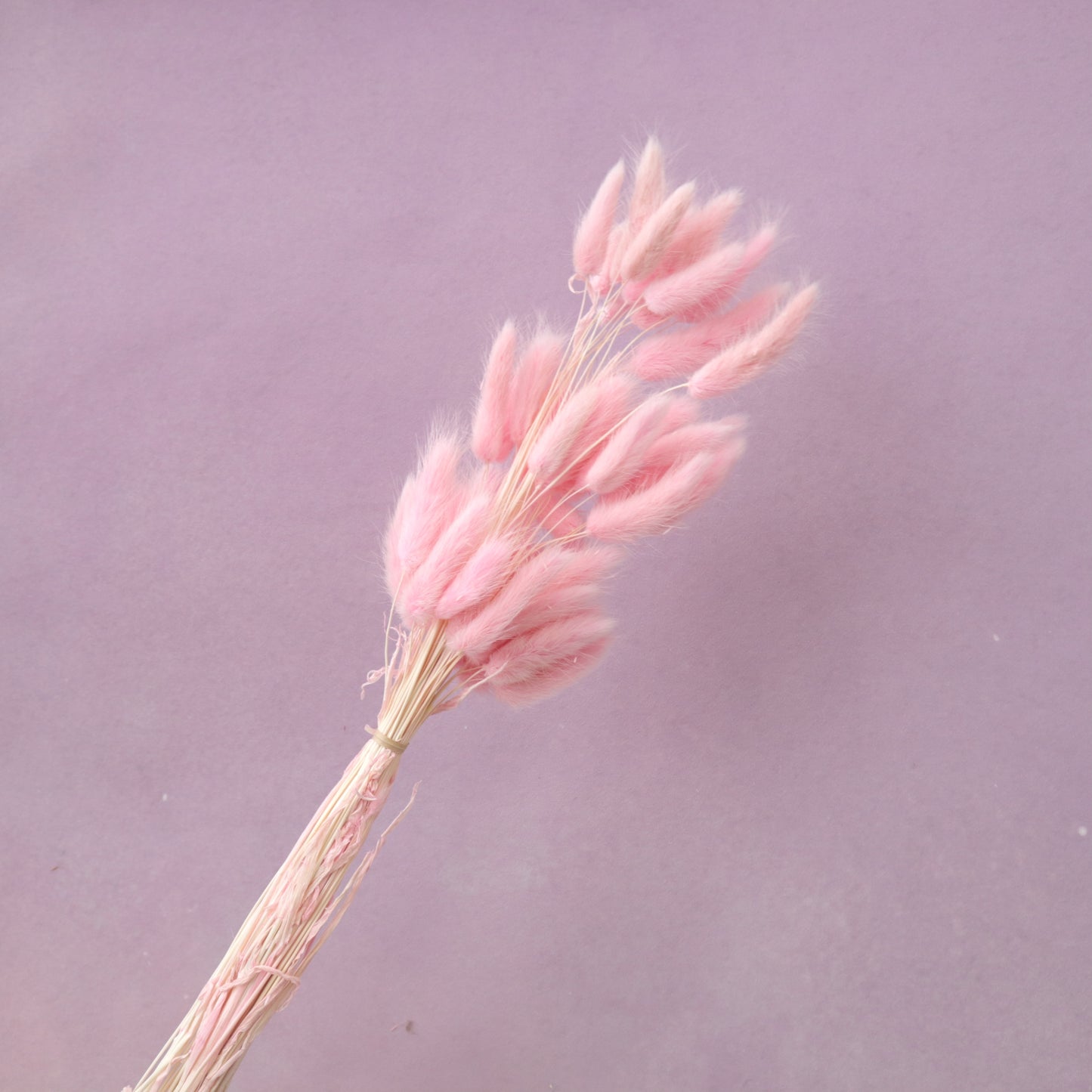 Bunny Tails Bright Pink