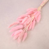 Bunny Tails Bright Pink