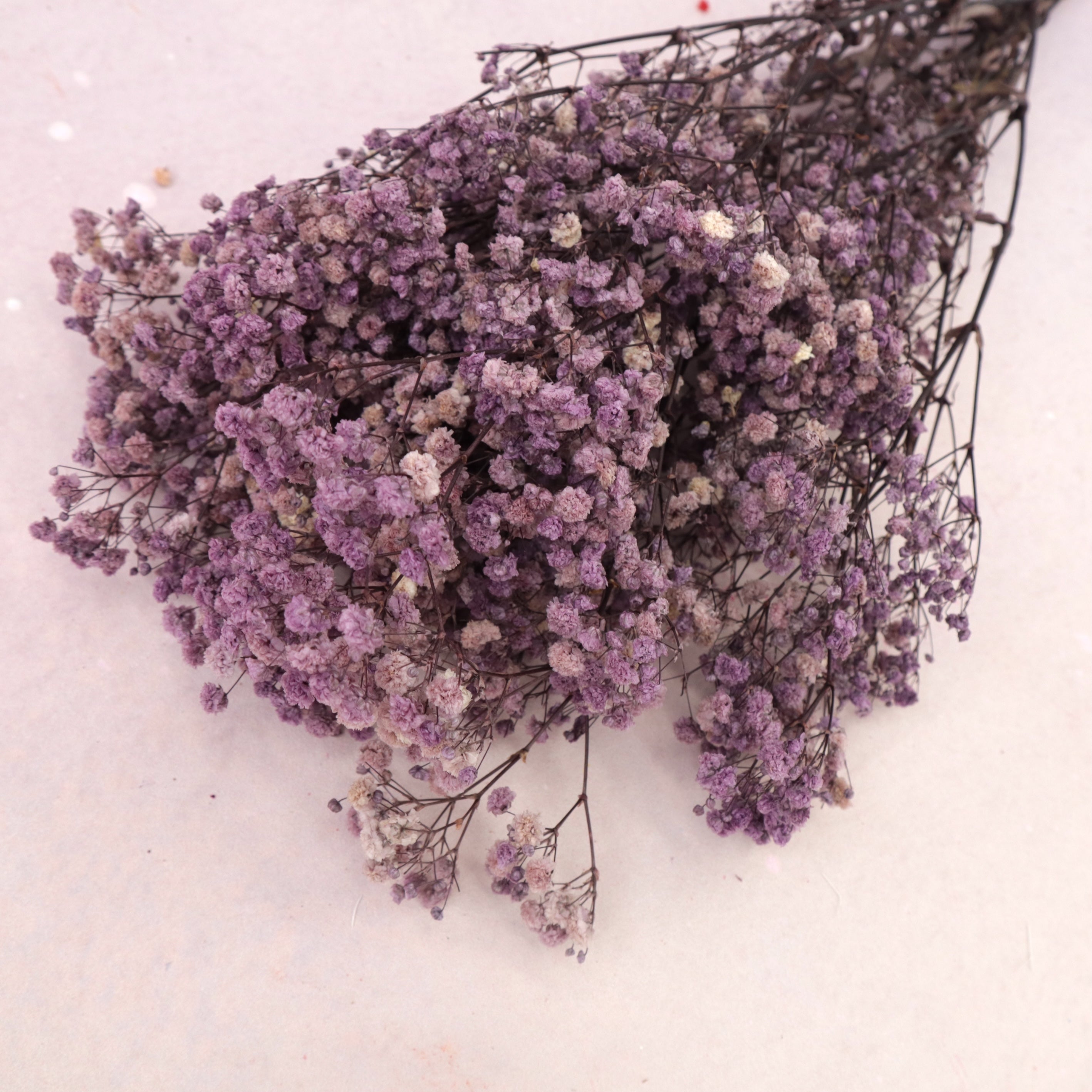 Baby's Breath Lavender Purple
