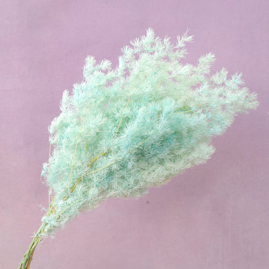 Ming Fern Turquoise