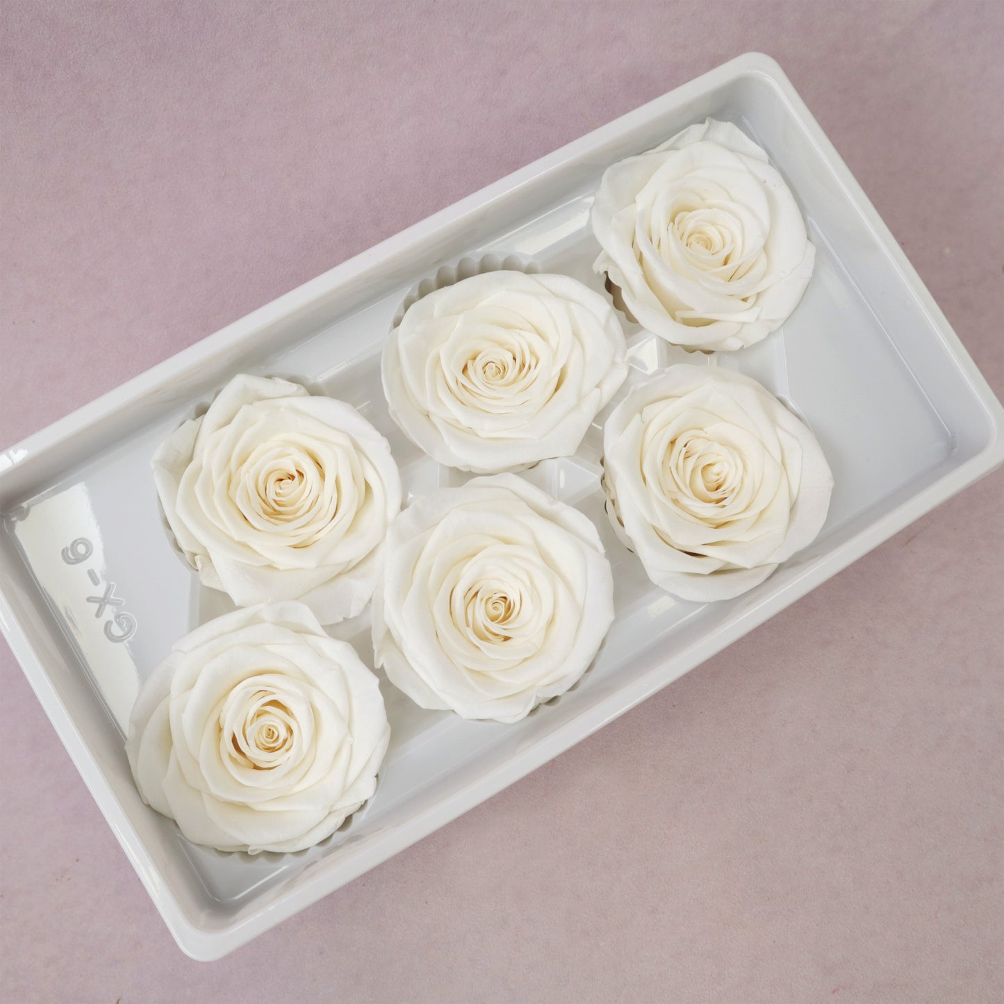 Rose Creamy White 6 heads