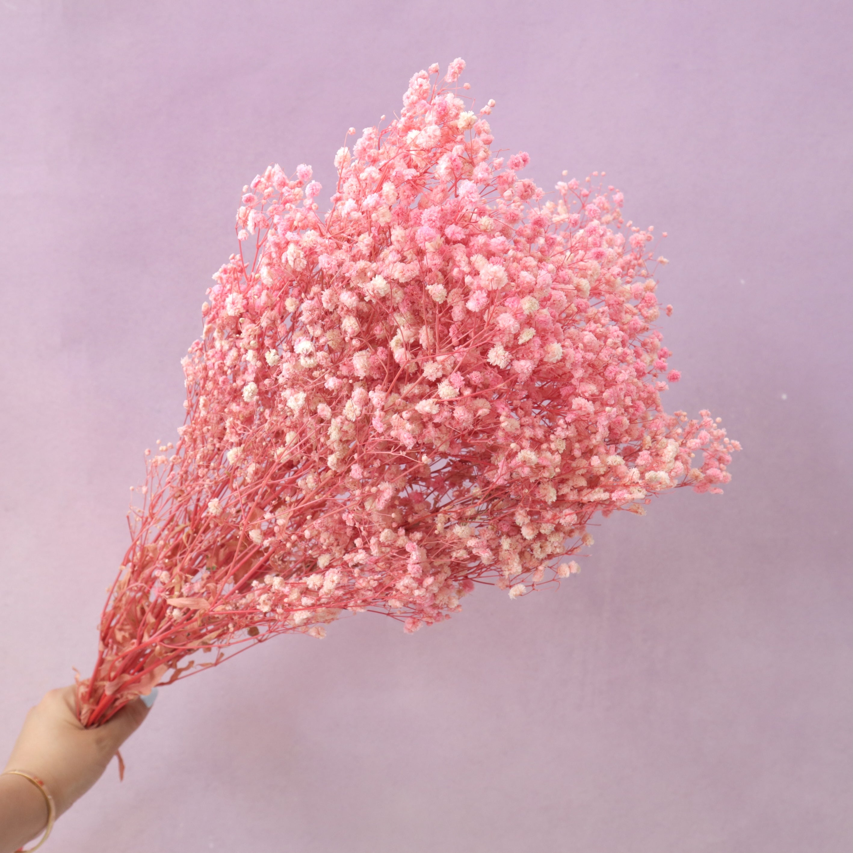 Baby's Breath Soft Pink
