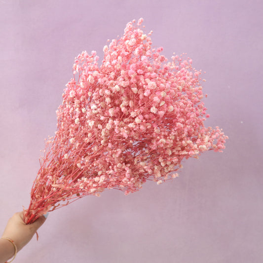Baby's Breath Soft Pink