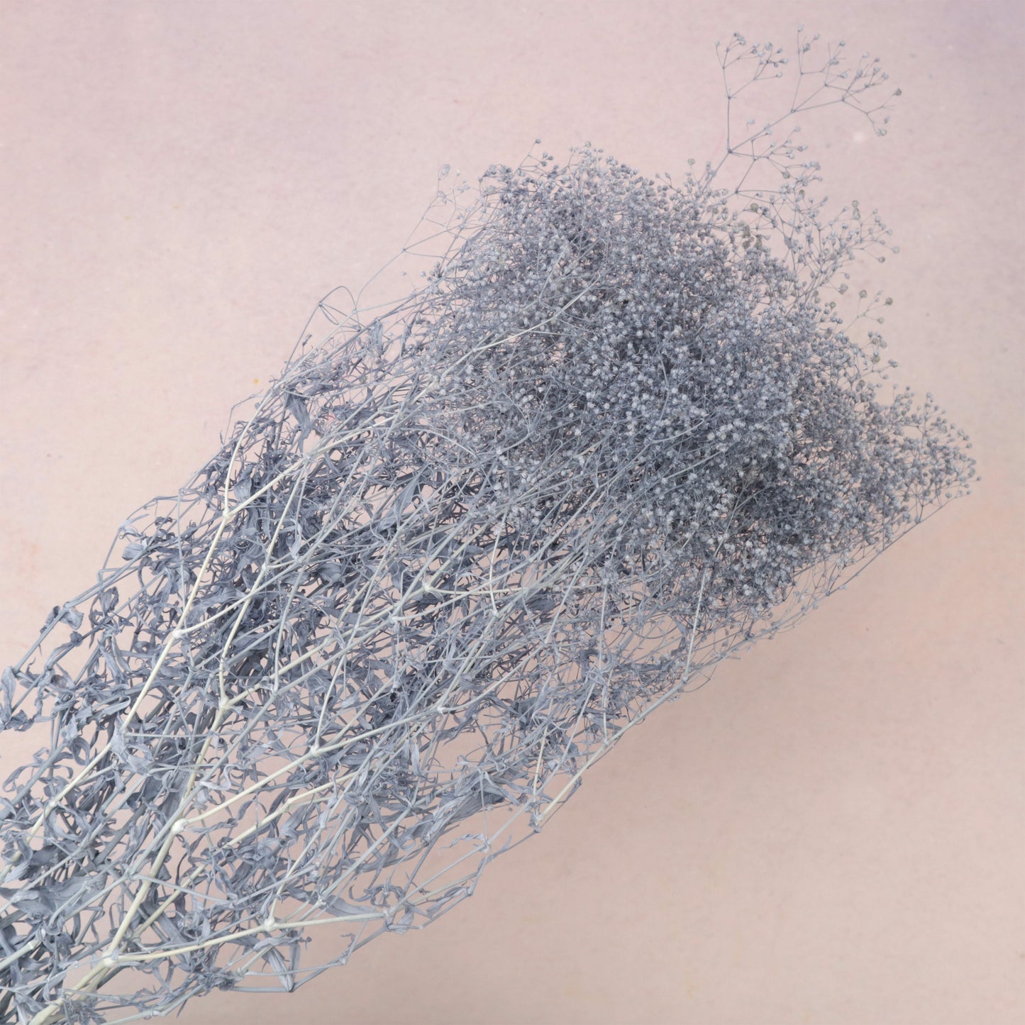 Snowy Baby's Breath Steel Blue