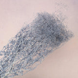 Snowy Baby's Breath Steel Blue