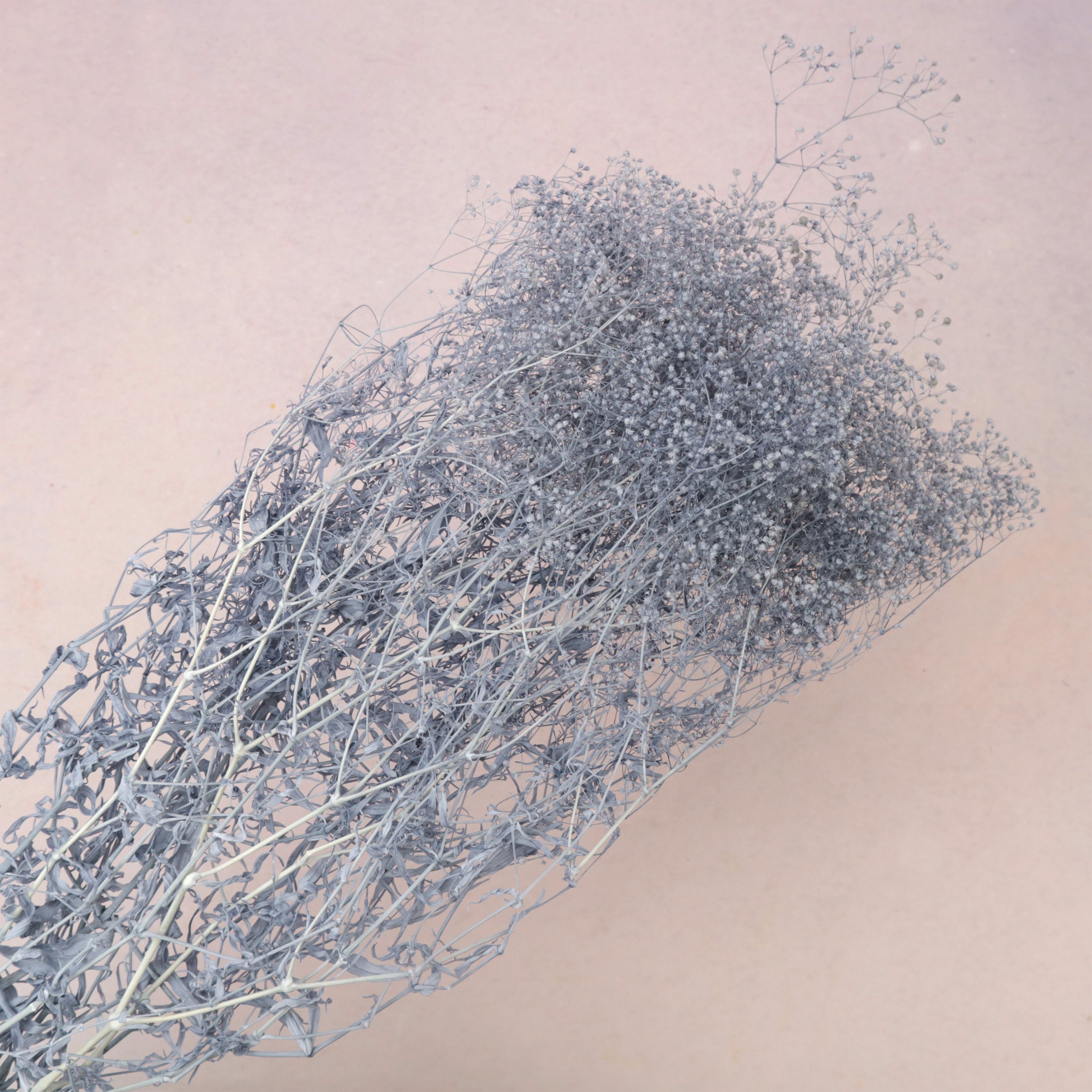 Snowy Baby's Breath Steel Blue