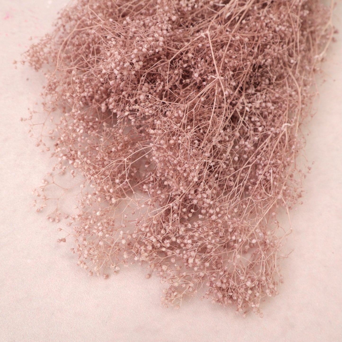 Snowy Baby's Breath Dusty Pink