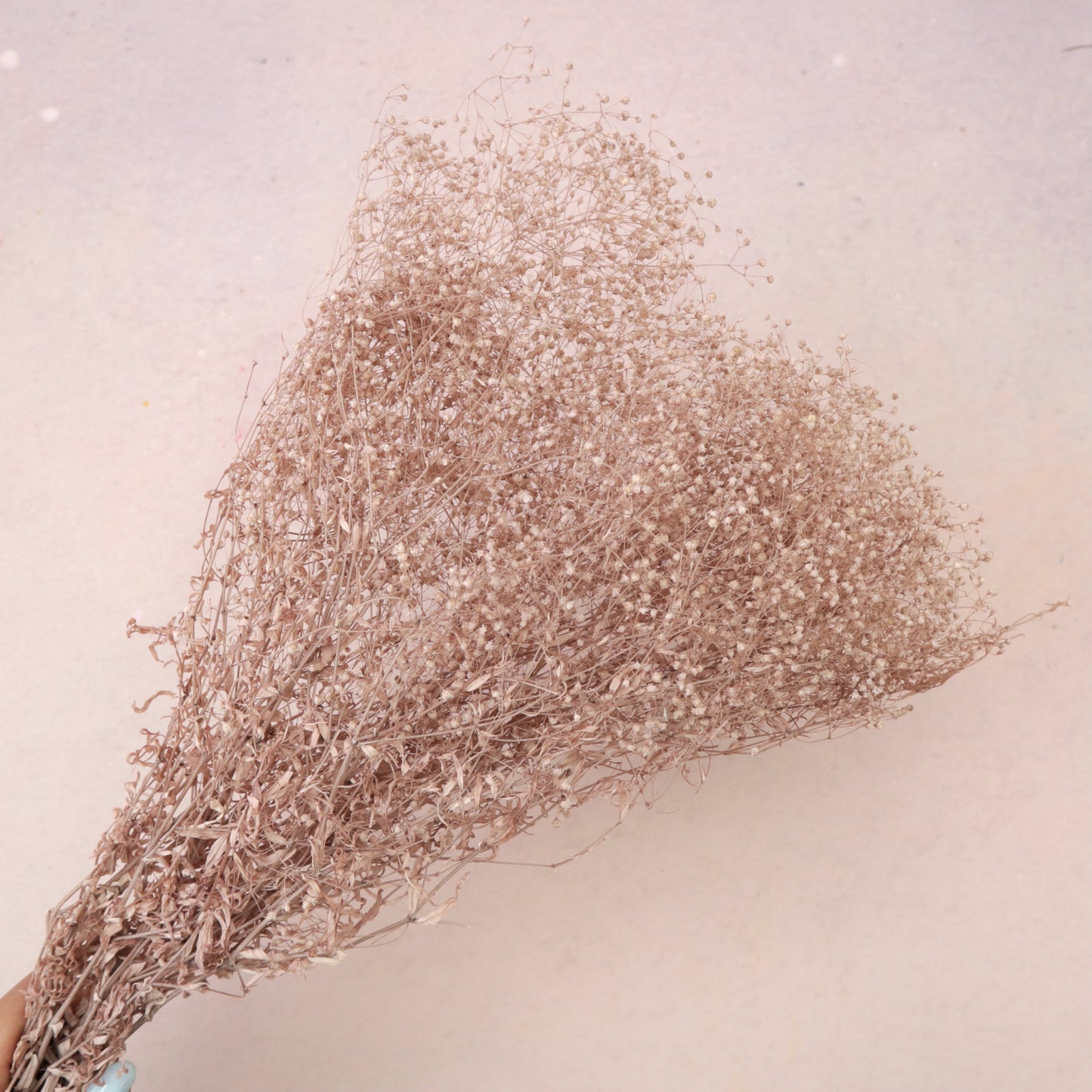 Snowy Baby's Breath Nude