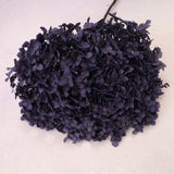 Annabelle Hydrangea Royal Purple