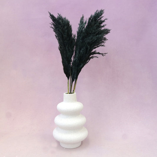 Giant Reeds Grass Black