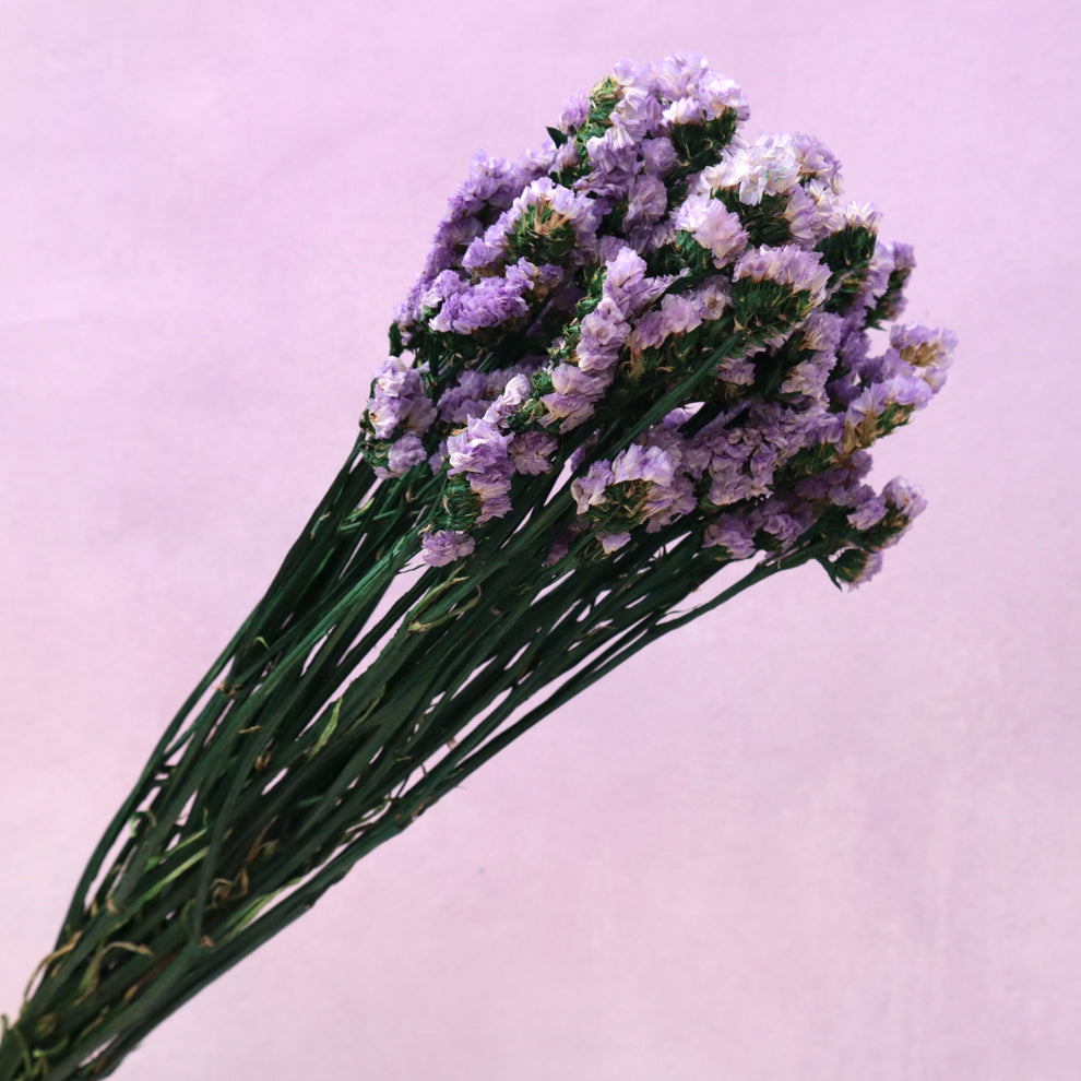 Statice Purple – Floral Forest Wholesale