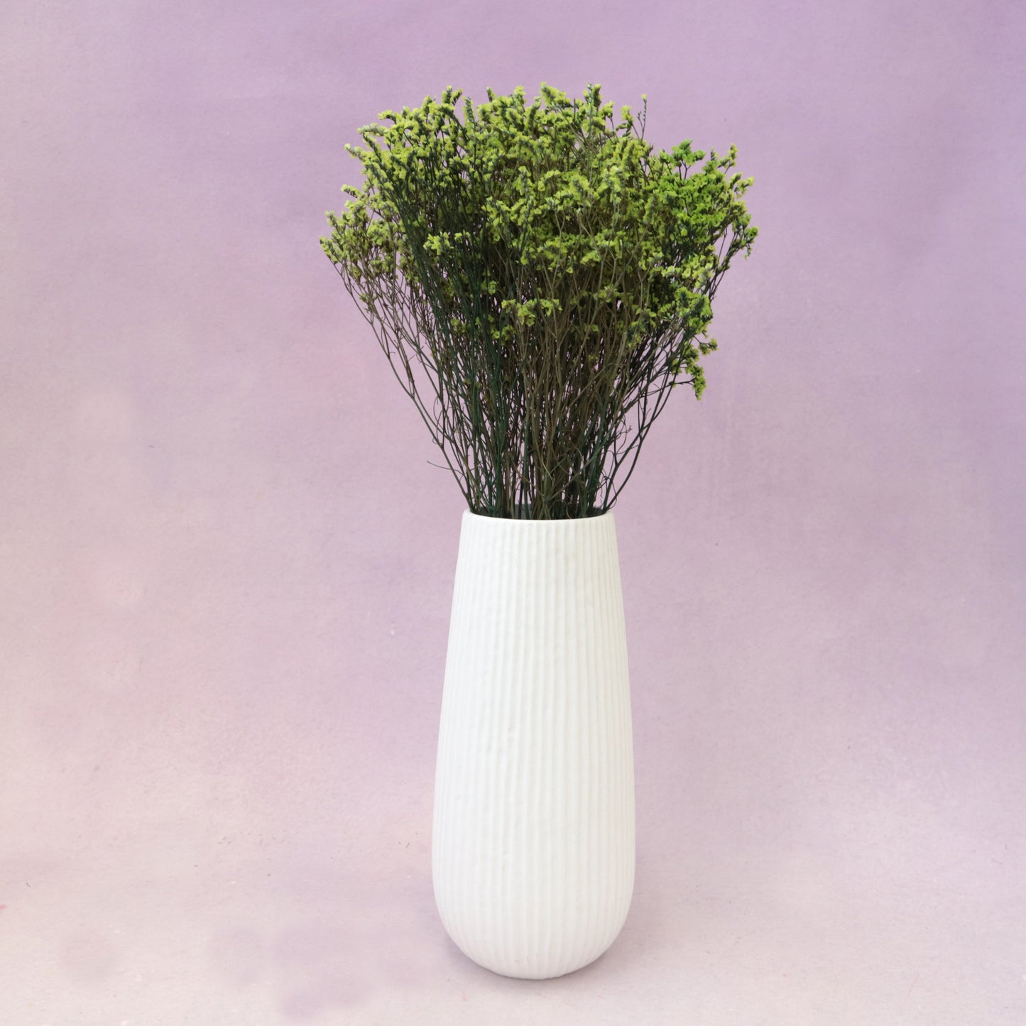 Statice Limonium Sinuatum Lime Green