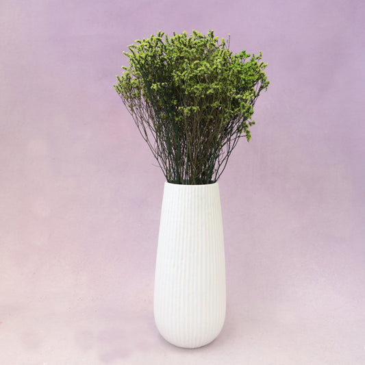 Statice Limonium Sinuatum Lime Green