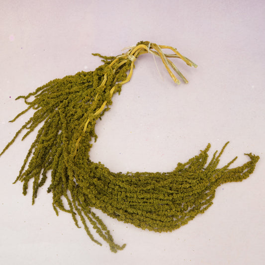 Amaranthus Mustard Green