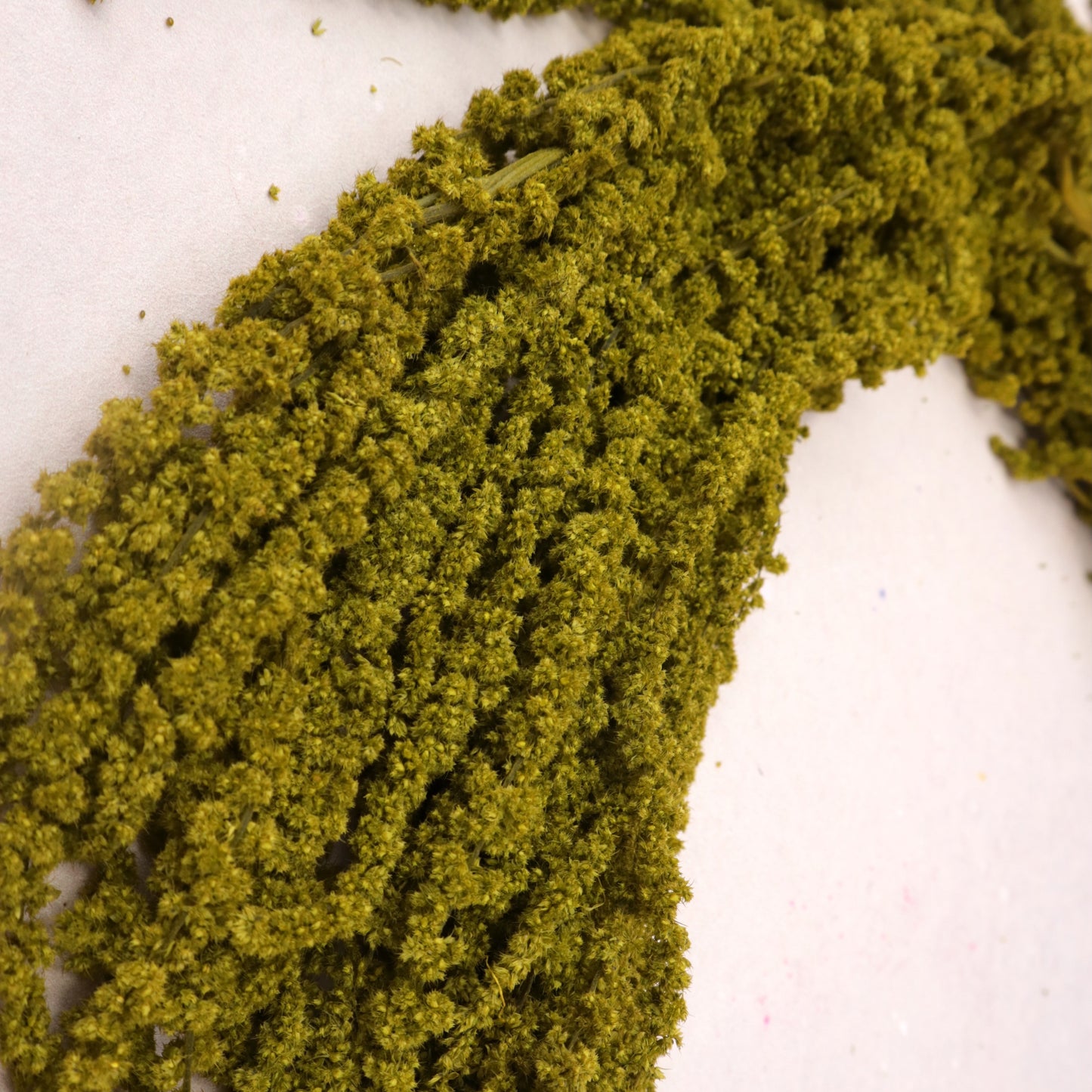 Amaranthus Mustard Green