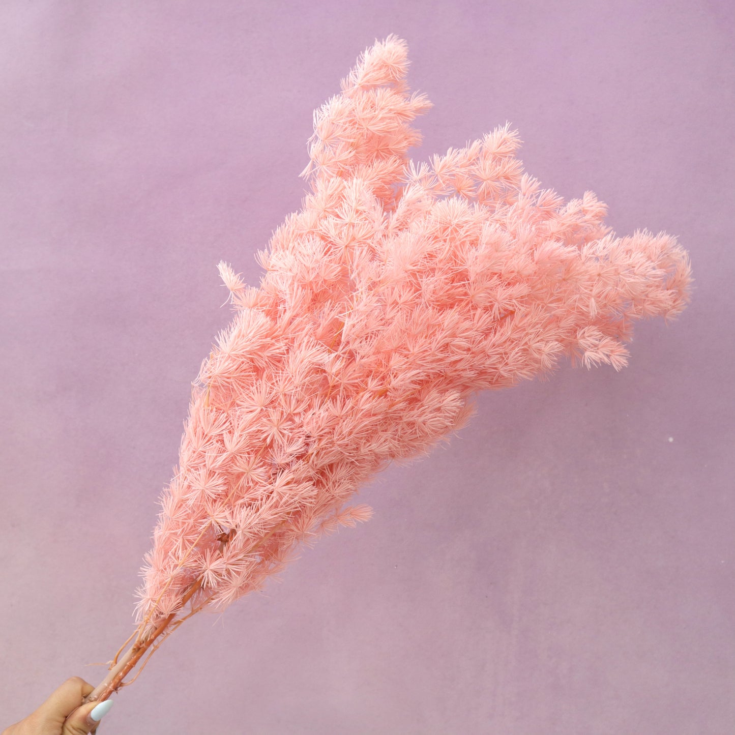 Ming Fern Coral Pink