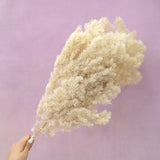 Ming Fern Beige