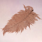 Leather Fern Large Coffee