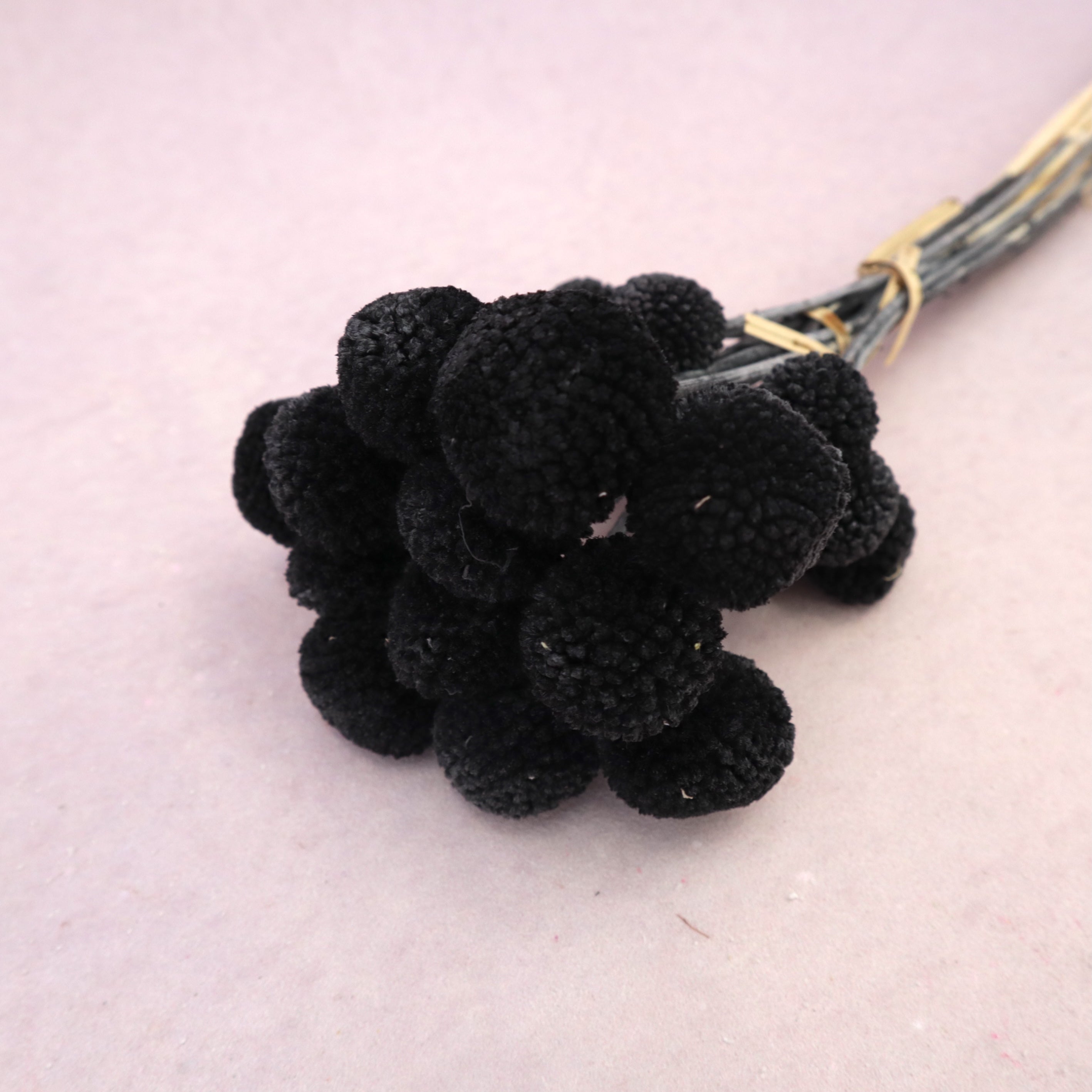 Billy Button Black