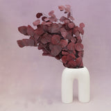 Poly Gum Dark Red