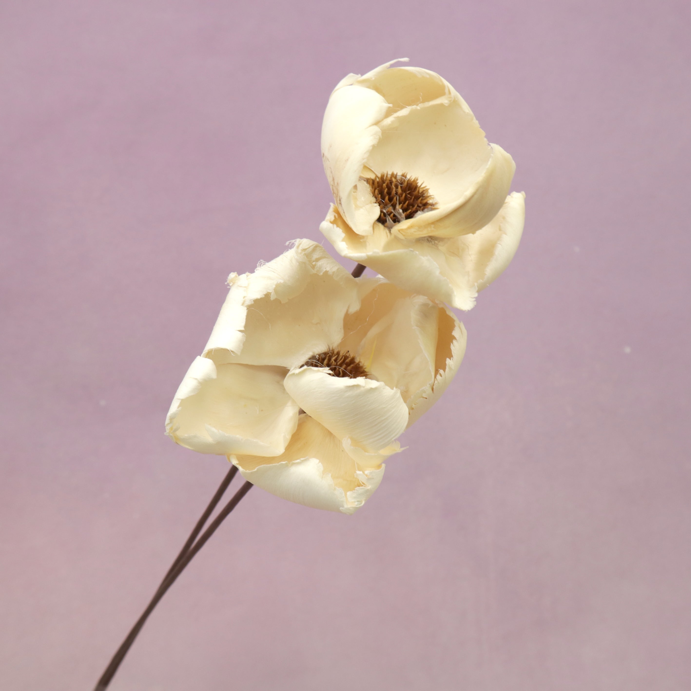 Palm Cap Creamy White