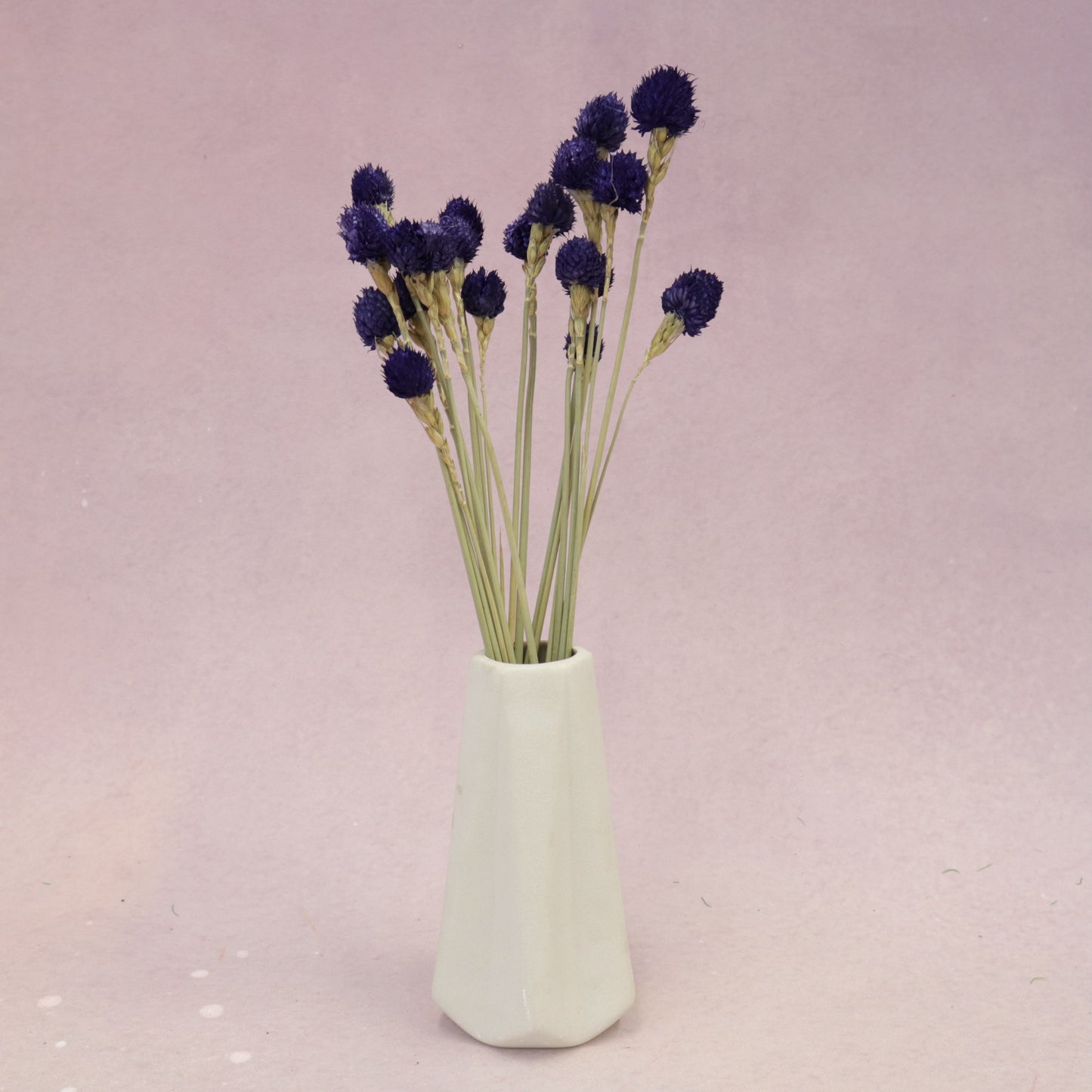 Globe Amaranth Royal Purple