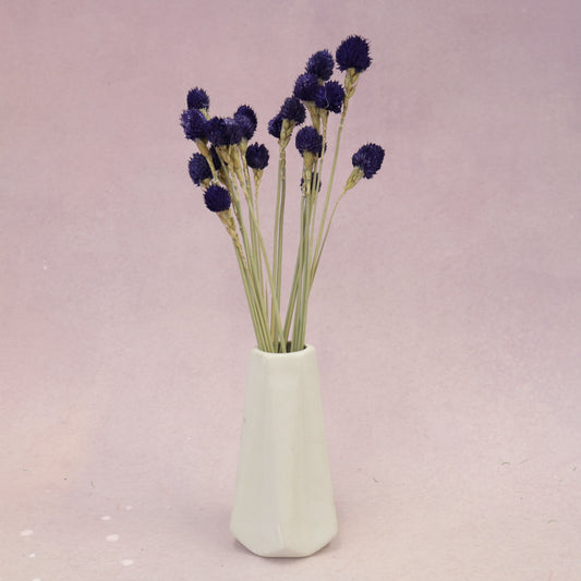 Globe Amaranth Royal Purple