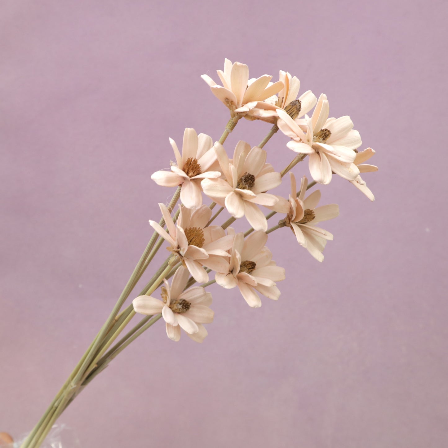 Handmade Daisy Pastel Pink