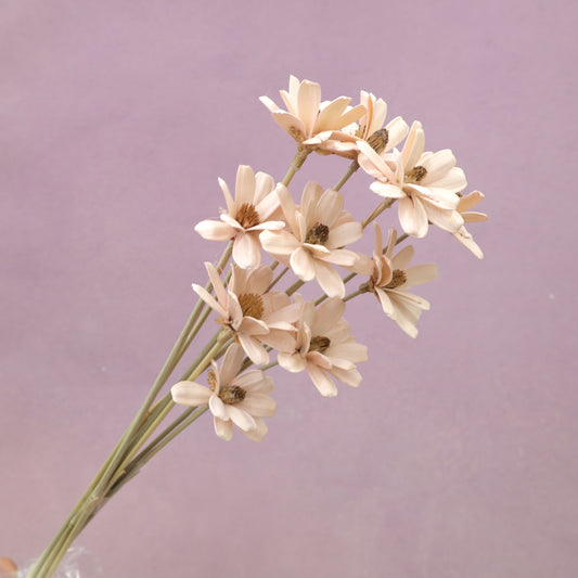 Handmade Daisy Pastel Pink