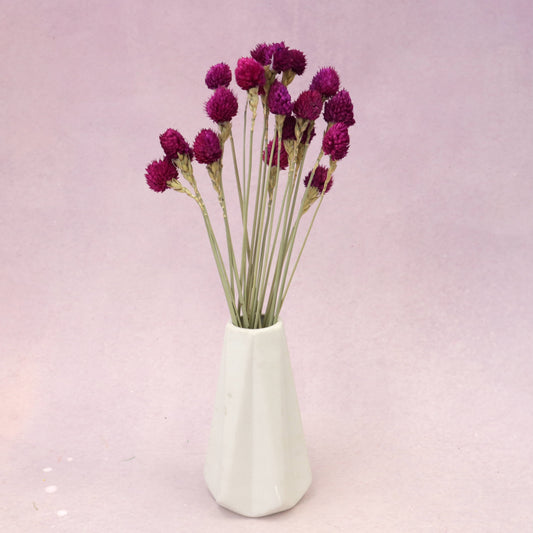 Globe Amaranth Dark Magenta