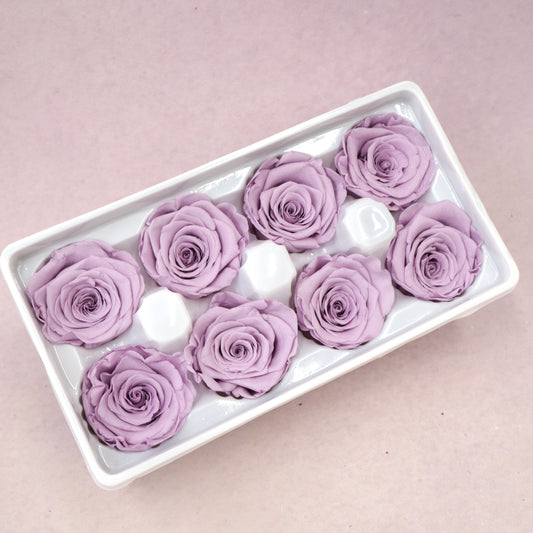 Rose Lavender 8 heads