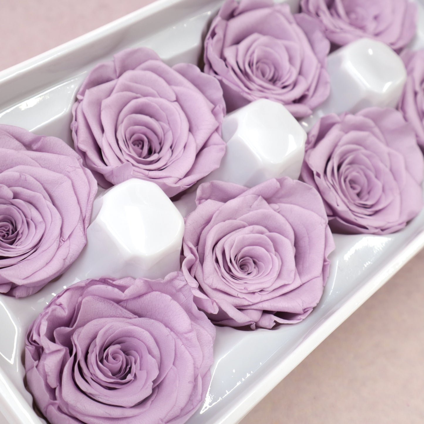 Rose Lavender 8 heads